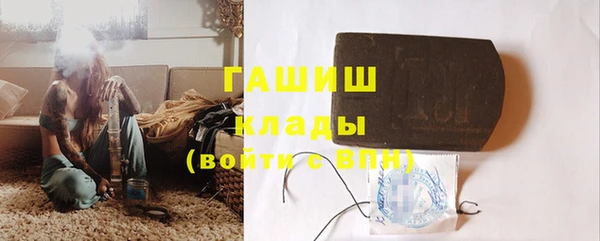 шишки Медвежьегорск