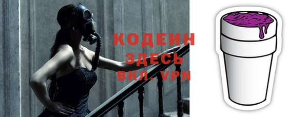 шишки Медвежьегорск