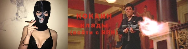 шишки Медвежьегорск
