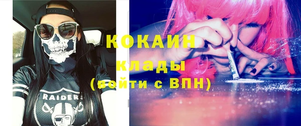 шишки Медвежьегорск