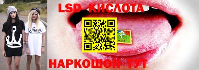 амф Волжск