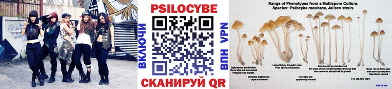 Псилоцибиновые грибы прущие грибы хочу Добрянка