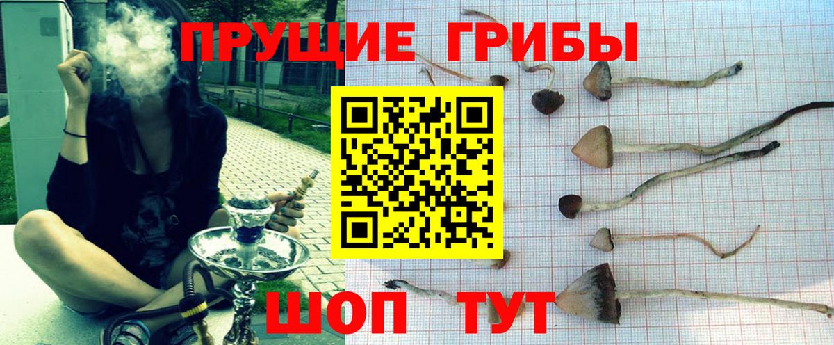 Галлюциногенные грибы Cubensis  магазин    Добрянка 