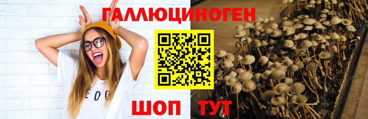 Галлюциногенные грибы ЛСД  Вход с VPN  Добрянка 